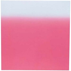 bEndo Shoji C~iCfV 24Ёi10j {JV sN RHL6201[RHL6201]