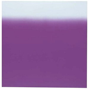 bEndo Shoji C~iCfV 24Ёi10j {JV  RHL6101[RHL6101]