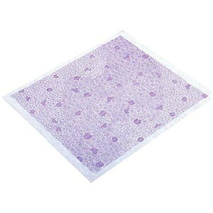 bEndo Shoji sDzV[g AJg i20j 660 e RHL6901[RHL6901]