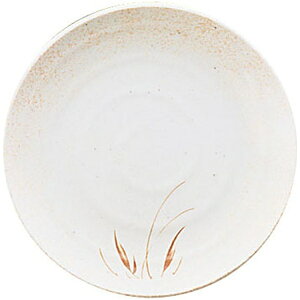 bEndo Shoji ~uguvƂ񂩂M VS-7624 RTV73[RTV73]