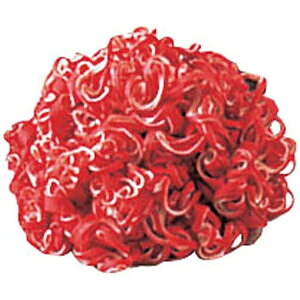 yGg[ōőSz|CgҌb11/5z RobNXbKOVAX z킵ThN[ i10j ij  JTW11001[JTW11001]