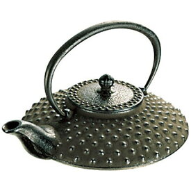 岩鋳｜IWACHU 《IH非対応》 岩鋳 鉄平 あられ燗瓶 0.5L（内面ホーロー仕上） 13-001 ＜QKV14＞[QKV14]