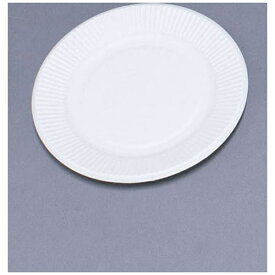 ペーパーウェア｜PAPER WARE スタンダードプレート（100枚入） No.6 181921 ＜GST1602＞[GST1602]