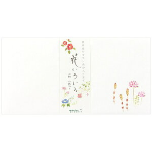 fUCtBbDESIGNPHIL []  Ԃ낢땿 8i4×2j 20408006