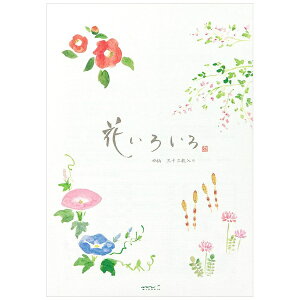 fUCtBbDESIGNPHIL []  Ԃ낢땿 32i4×8Er18sj 20407006