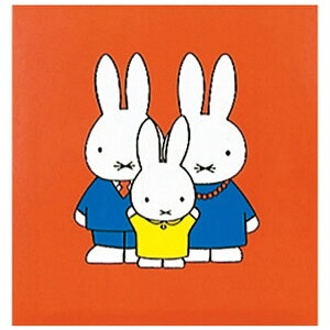 iJoVbNakabayashi tGAo@u~btB[v iSTCY^S[hCj@A-SA-121-1[SA1211]