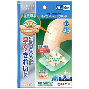 \bHakujuji FCCXgq[Opbh M 4