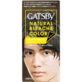 マンダム｜mandom GATSBY（ギャツビー） ナチュラルブリーチカラーシェイドウルフ 〔カラーリング剤〕