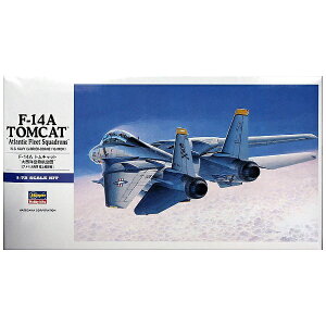 J쐻쏊bHasegawa 1/72 F-14A gLbg g吼mch