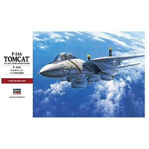 J쐻쏊bHasegawa 1/48 F-14A gLbg