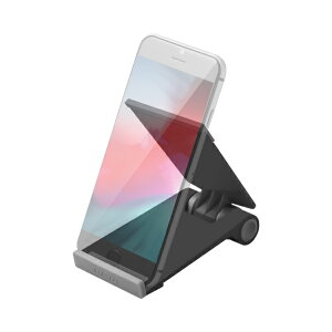 ELECOMbGR X}[gtHΉ@X^h RpNg@PD-SCMPBK