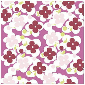 ÉዾbNagoya Gankyo pt[ N[jONX 3017-14 sNt[