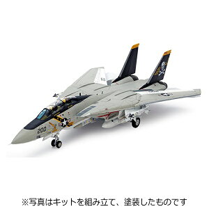 ^~bTAMIYA O} F-14A gLbg