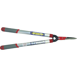 L{VbKINBOSHI GS@V^A~@GbWtLk 2021L