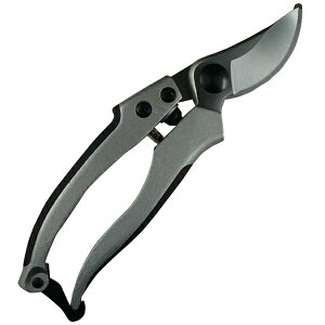 ibDAISHIN DAISHIN@EG@A~_CLXgDX@502099