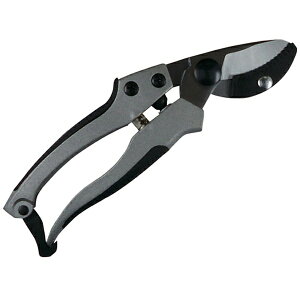 ibDAISHIN DAISHIN@EG@A~_CLXg@Ar^@502136