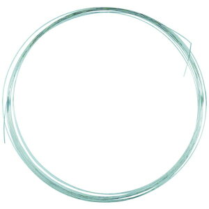 ダイドーハント|daidohant ハント 硬質ステンレス線 0.4mm×10m 10155894