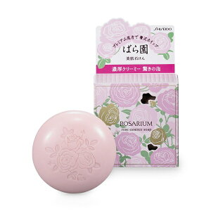 bshiseido ROSARIUM ΂牀 [YGbZX\[v RX 100gkΌlyrb_pcpz