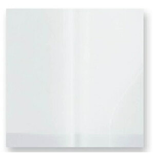 PLUSbvX [m[gJo[] Ca.CreaiJ.NGj A4×1/3TCYpJo[ 1p NO-604CS