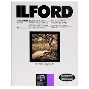 ILFORDbCtH[h MGART300 11X14 10