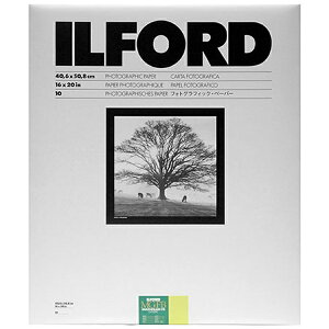 ILFORDbCtH[h }`O[hFBNVbN 5K Mattij Si16×20C`j 10@MGFB 5K 16X20 10