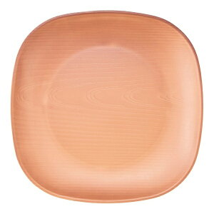 abDaiwa EH[i XNGAv[g 25cm CguE RSP5502[RSP5502]