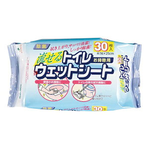 �A�Y�}�H�Ɓbazuma �g�C���p�E�F�b�g�V�[�g�i30�����j SQ058 ��JTI1001��[JTI1001]