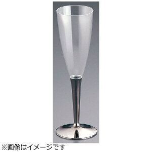 ���U�C�N�bmozaik ���U�C�N �V�����p���O���X�i10���j �V���o�[ MZCFSL ��NSY3102��[NSY3102]