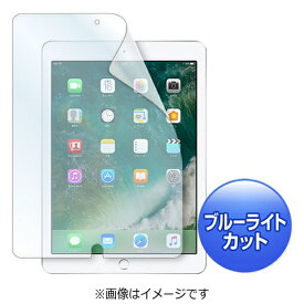 サンワサプライ｜SANWA SUPPLY iPad 9.7インチ用　ブルーライトカット液晶保護指紋反射防止フィルム　LCD-IPAD8BCAR　[LCDIPAD8BCAR]