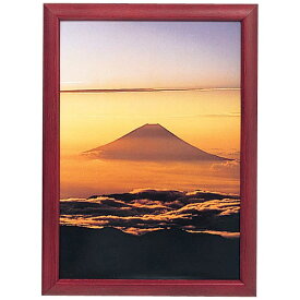 FUJICOLOR｜フジカラー デジフォトフレームD3 L ローズ