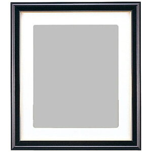 FUJICOLOR�b�t�W�J���[ �ё��z�� A3