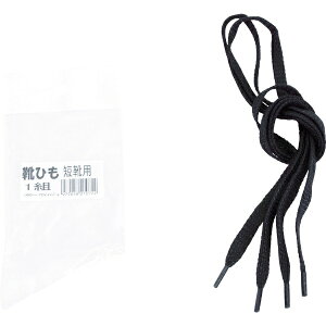 ~hSbMIDORI ANZEN ~hS@SCpR@ZCp MSA-SR-L