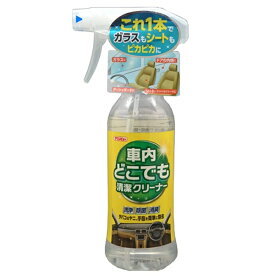 イチネンケミカルズ｜ICHINEN CHEMICALS 29802　クリンビュー　車用　車内クリーナー　車内どこでも清潔クリーナー　内容量：300ml　呼番：D-21