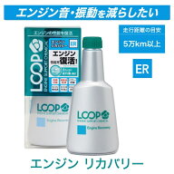 SurLuster｜シュアラスター LOOP エンジンリカバリー LP-43