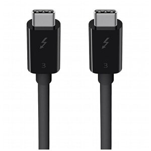 BELKIN�b�x���L�� USB-C �� USB-C�P�[�u�� [�f�� /�[�d /�]�� /0.5m /100W /Thunderbolt 3] �u���b�N F2CD084bt0.5MBK [USB-C �� USB-C]�yrb_ cable_cpn�z
