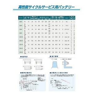 yGg[ōőSz|CgҌb11/27z GS YUASAbW[GXEAT TCNT[rXpobe[ EB100-TE y[J[EsEԎwEԕisz