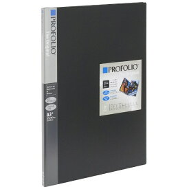 ナカバヤシ｜Nakabayashi PROFOLIO A3ノビ 24ポケット（48枚収納）　IA-12-13N[IA1213N]