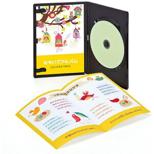 TTvCbSANWA SUPPLY CNWFbgDVDg[P[XCfbNXJ[hmCNWFbg /A4TCY /10V[gn JP-DVD7N[JPDVD7N]