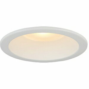 �z�^���N�X�bHotaluX LED�_�E�����C�g MRD10013RPBW2L1 L#700[MRD10013RPBW2L1]