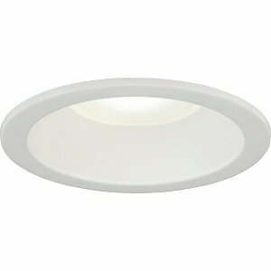 �z�^���N�X�bHotaluX LED�_�E�����C�g MRD10013RPBW3N1 D#800[MRD10013RPBW3N1]