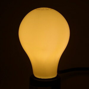 �������^���bTOME LDA2L-GW20W-TM LED�d�� �g�[���iTome�j [E26 /��ʓd���` /20W���� /�d���F /�S�����^�C�v][LDA2LGW20WTM]