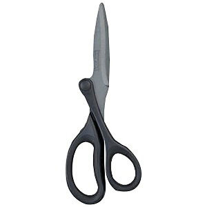 CCbRaymay Fujii nT~ SWINGCUT(XEBOJbg) tbfR[g SH900