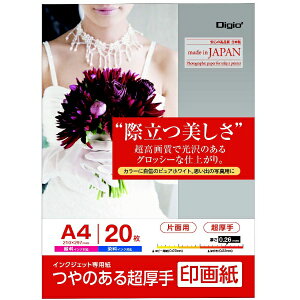 iJoVbNakabayashi CNWFbgp 掆  A4 20 JPSK2-A4-20[JPSK2A420]