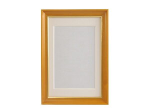 FUJICOLOR�b�t�W�J���[ �ؐ��z S10 �n�K�L�EL �`�[�N