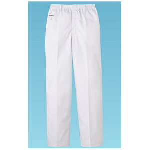 T[HbSERVO jppc FH-1108(zCg) L S SPV2604[SPV2604]