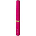 Panasonic｜パナソニック 電動歯ブラシ ポケットDoltz ルージュピンク EW-DS1C-RP [ドルツ /音波・超音波式][EWDS1CRP]