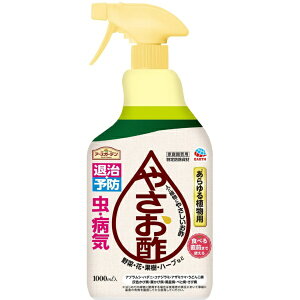 _ A[XK[f ₳|i1000mLjA[XbEarth