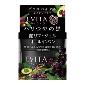 Jl{EbKanebo EVITAiGr[^j{^joC^ tg WF 90gmI[CWFn