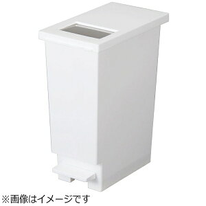 VPbSHINKIGOSEI j[h vbV&y_ 20S zCg KNC0105[KNC0105]