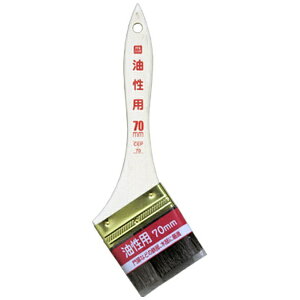 ATqybAsahipen PCp 70mm